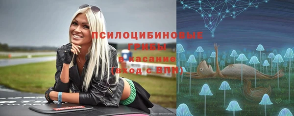 твердый Богданович