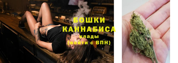 твердый Богданович