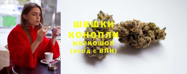 спиды Богородск