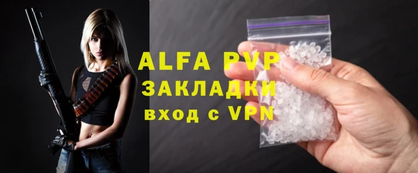твердый Богданович
