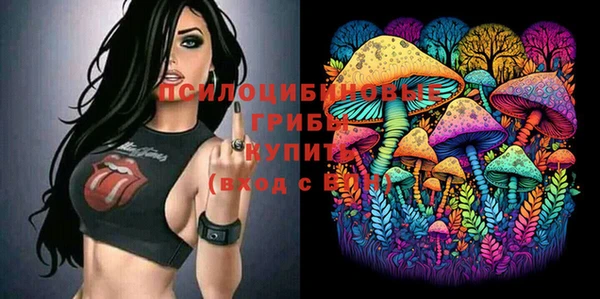 твердый Богородицк