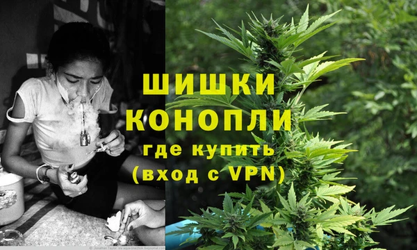 твердый Богданович