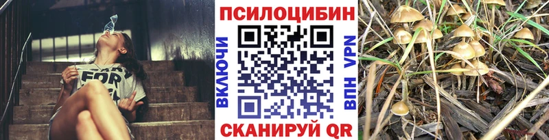 гидра ссылки  Нурлат  Псилоцибиновые грибы ЛСД 